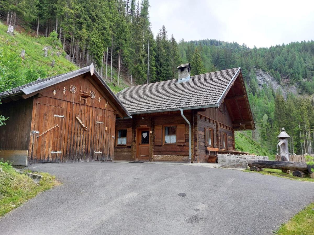 Villa Siegel Almhuette Zederhaus Esterno foto